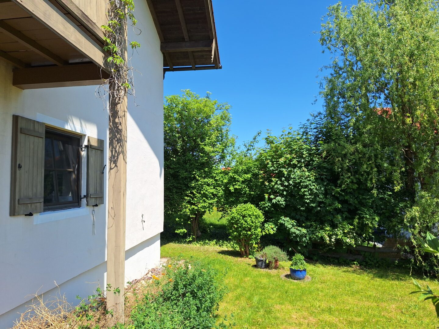 Ostseite der EG Wohnung