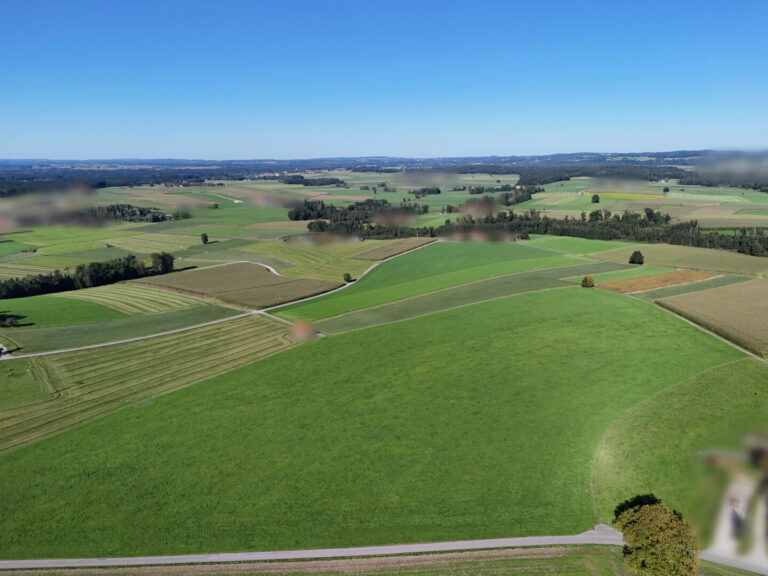 DJI_20250128213036_0328_D