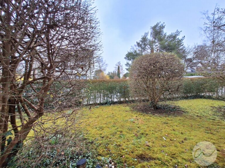Blick von der Terrasse